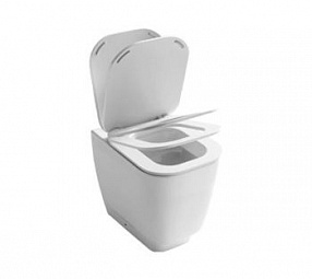 Fusion 48 back to wall wc soft close seat cover (YXBY)