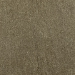 Deep Brown